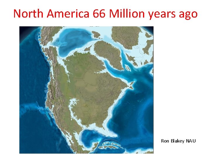 North America 66 Million years ago Ron Blakey NAU 