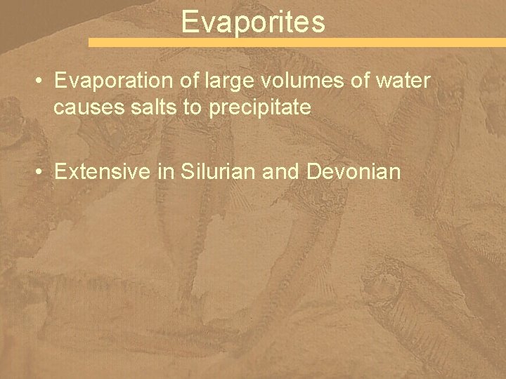 Evaporites • Evaporation of large volumes of water causes salts to precipitate • Extensive