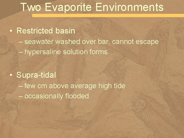 Two Evaporite Environments • Restricted basin – seawater washed over bar, cannot escape –