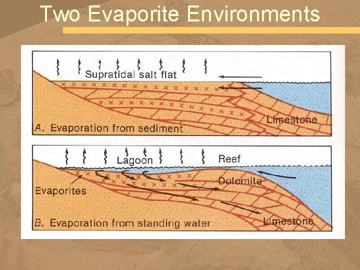 Two Evaporite Environments 