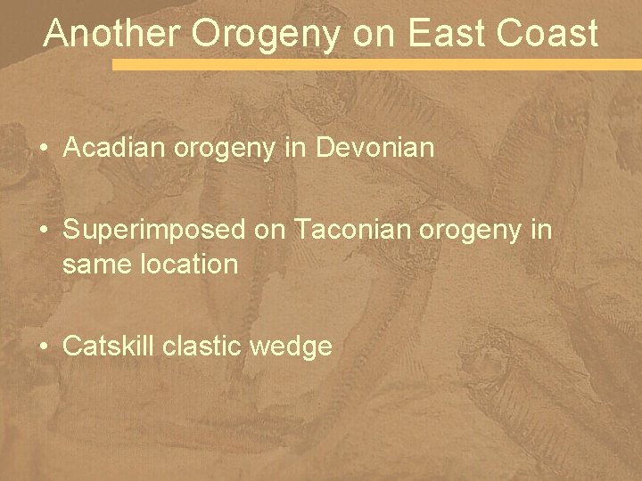 Another Orogeny on East Coast • Acadian orogeny in Devonian • Superimposed on Taconian