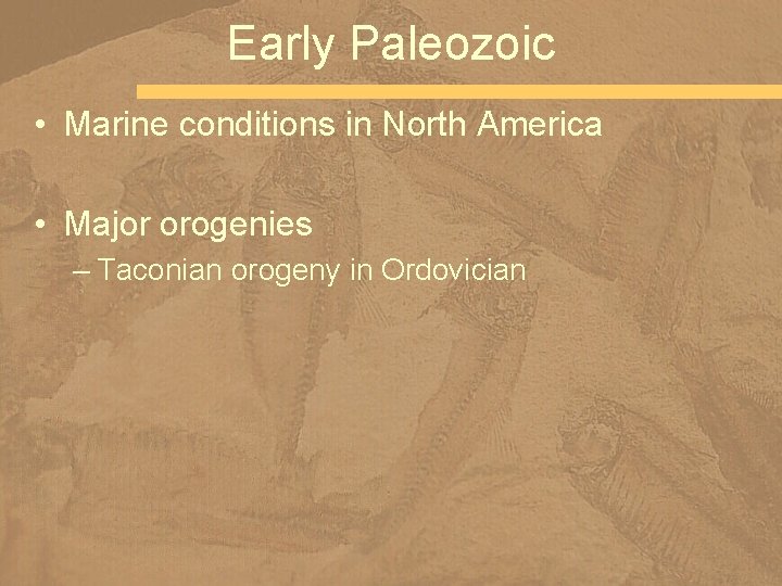 Early Paleozoic • Marine conditions in North America • Major orogenies – Taconian orogeny