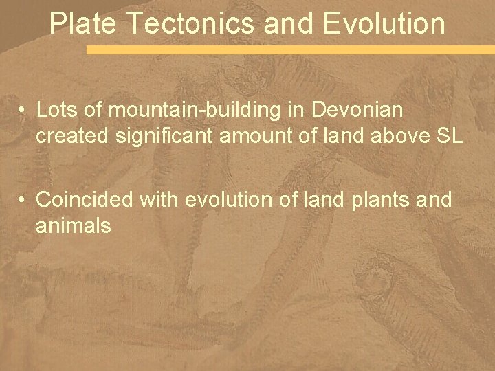 Plate Tectonics and Evolution • Lots of mountain-building in Devonian created significant amount of