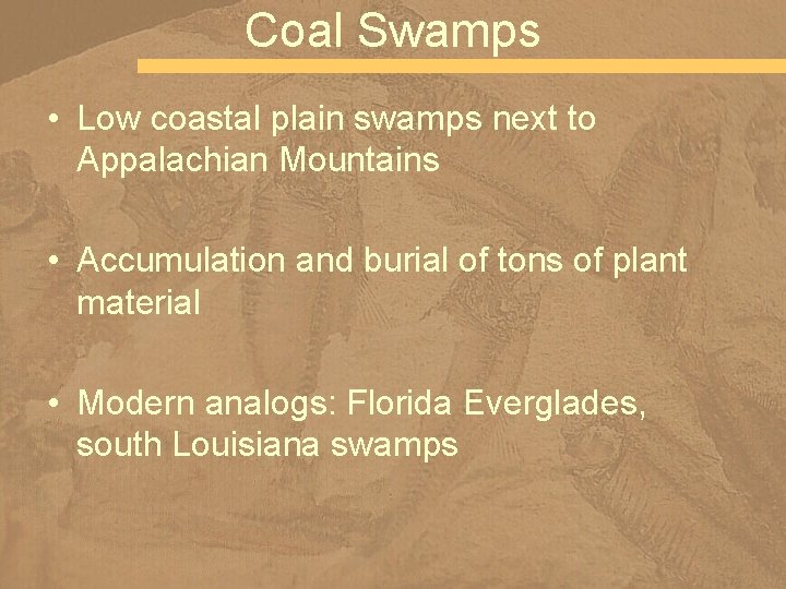Coal Swamps • Low coastal plain swamps next to Appalachian Mountains • Accumulation and