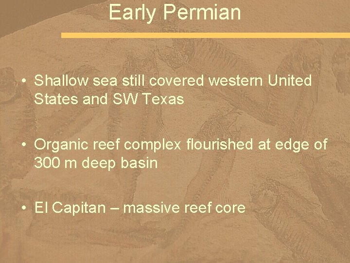 Early Permian • Shallow sea still covered western United States and SW Texas •