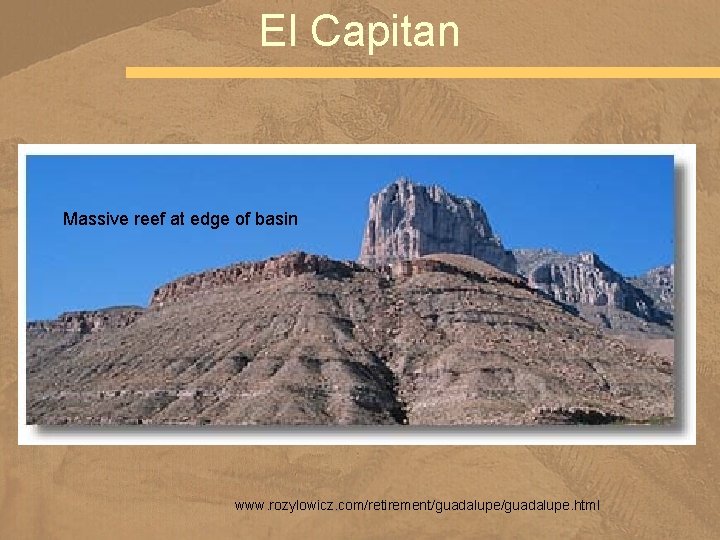 El Capitan Massive reef at edge of basin www. rozylowicz. com/retirement/guadalupe. html 