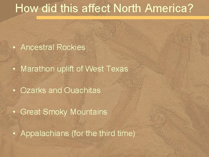 How did this affect North America? • Ancestral Rockies • Marathon uplift of West