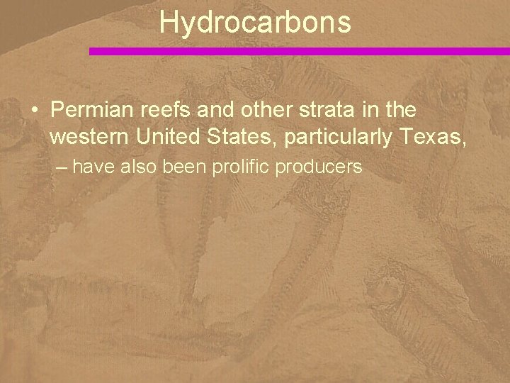 Hydrocarbons • Permian reefs and other strata in the western United States, particularly Texas,