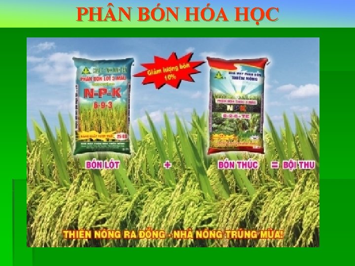 PH N BÓN HÓA HỌC 