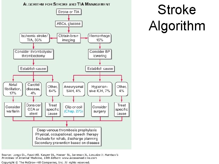 Stroke Algorithm 