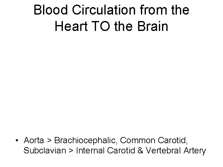 Blood Circulation from the Heart TO the Brain • Aorta > Brachiocephalic, Common Carotid,