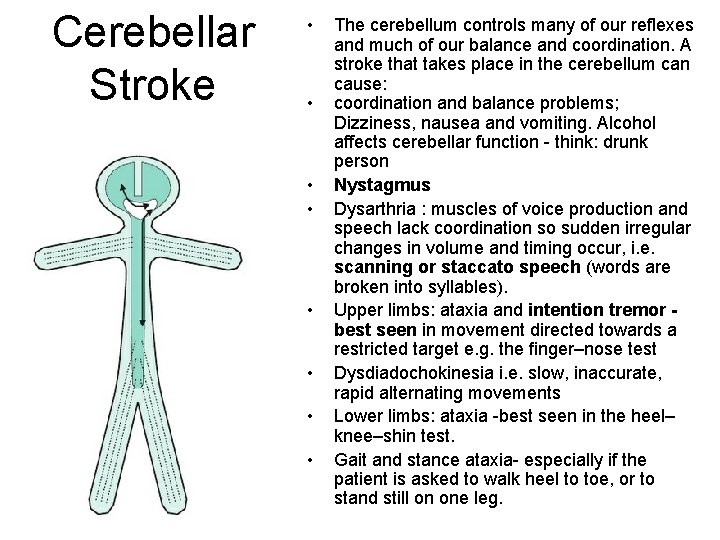 Cerebellar Stroke • • The cerebellum controls many of our reflexes and much of