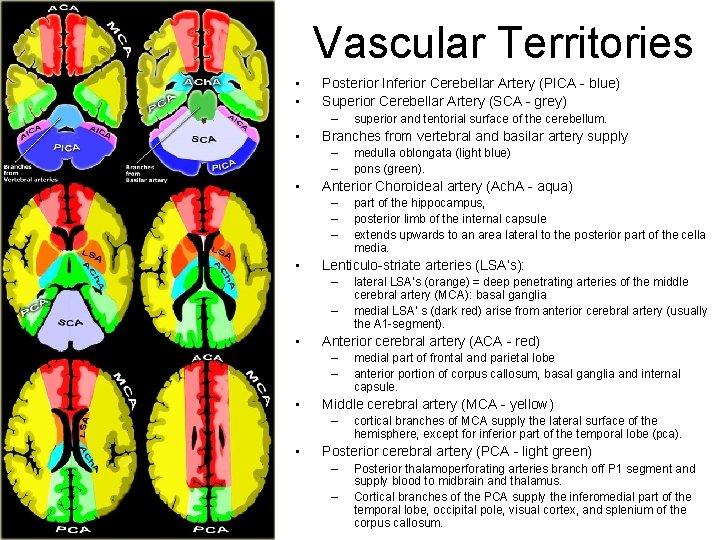 Vascular Territories • • Posterior Inferior Cerebellar Artery (PICA - blue) Superior Cerebellar Artery