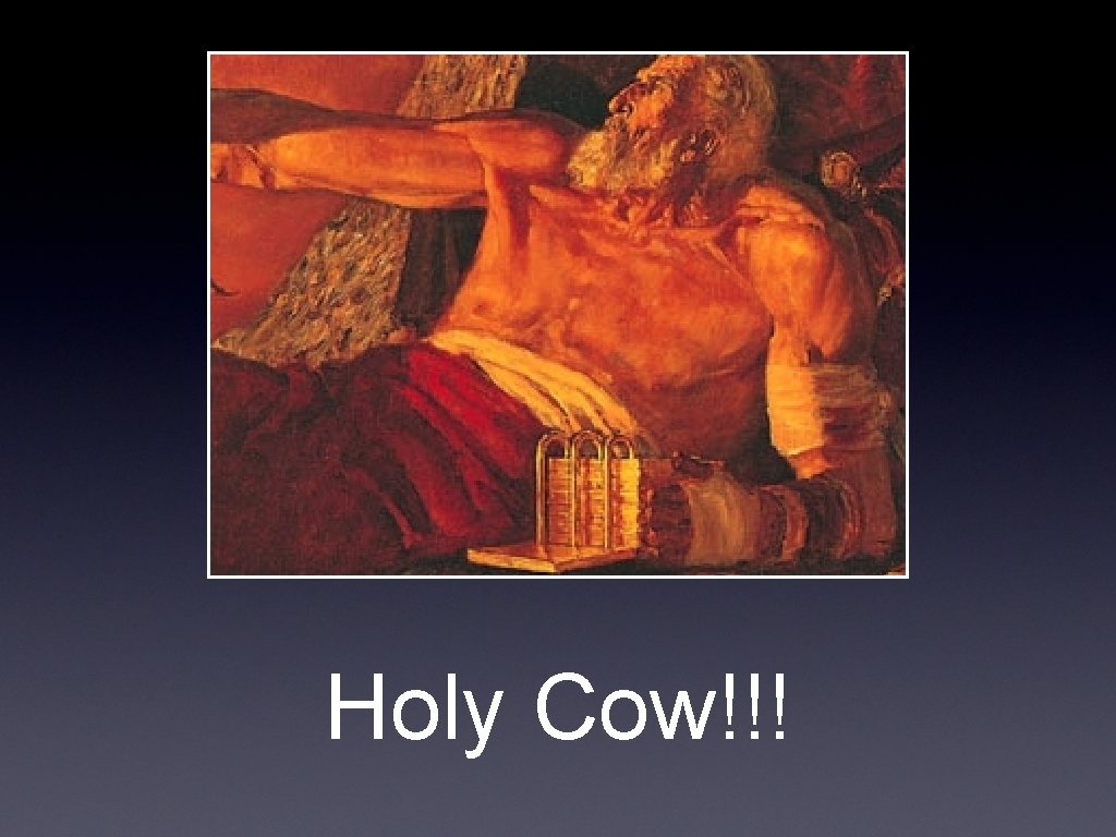 Holy Cow!!! 