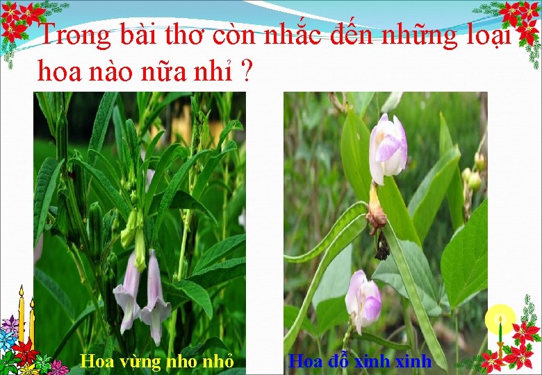 Trong bài thơ còn nhắc đến những loại hoa nào nữa nhỉ ? Hoa