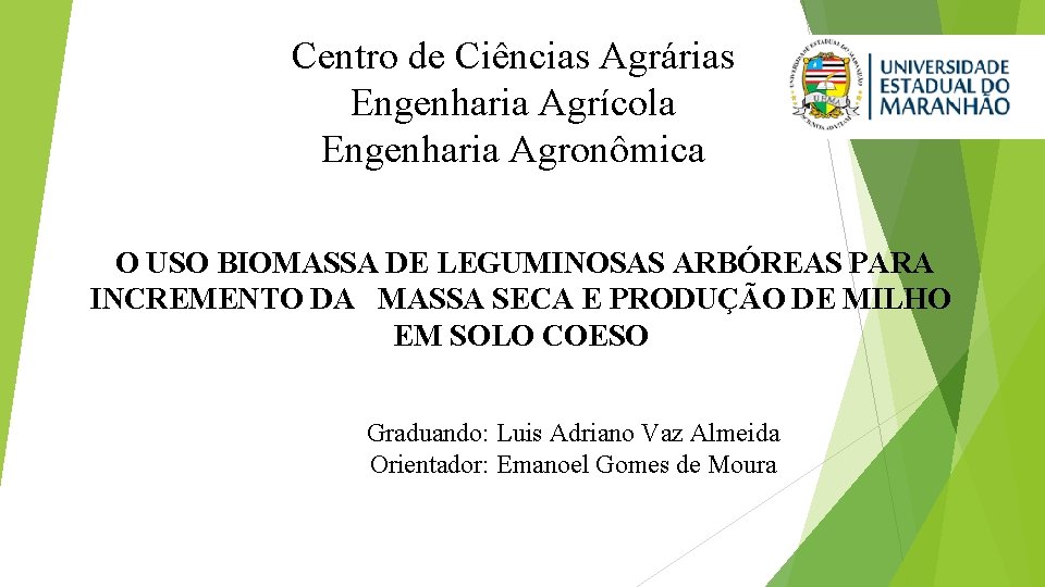 Centro de Ciências Agrárias Engenharia Agrícola Engenharia Agronômica O USO BIOMASSA DE LEGUMINOSAS ARBÓREAS