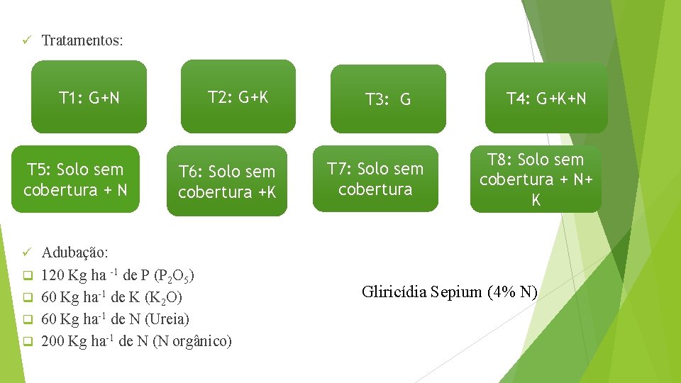 ü Tratamentos: T 1: G+N T 5: Solo sem cobertura + N ü q