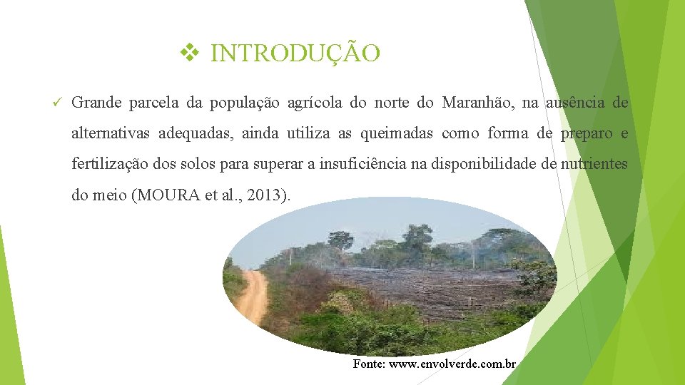 v INTRODUÇÃO ü Grande parcela da população agrícola do norte do Maranhão, na ausência