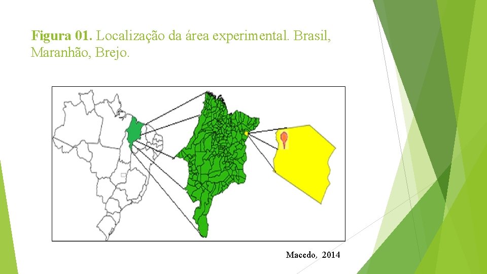 Figura 01. Localização da área experimental. Brasil, Maranhão, Brejo. Macedo, 2014 