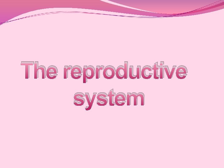 The reproductive system 