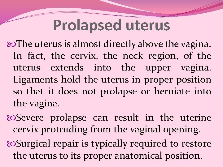 Prolapsed uterus The uterus is almost directly above the vagina. In fact, the cervix,