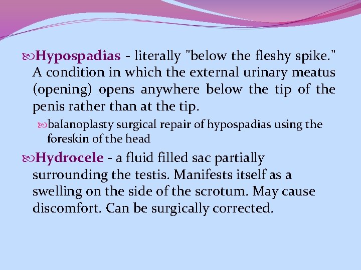  Hypospadias - literally "below the fleshy spike. " A condition in which the