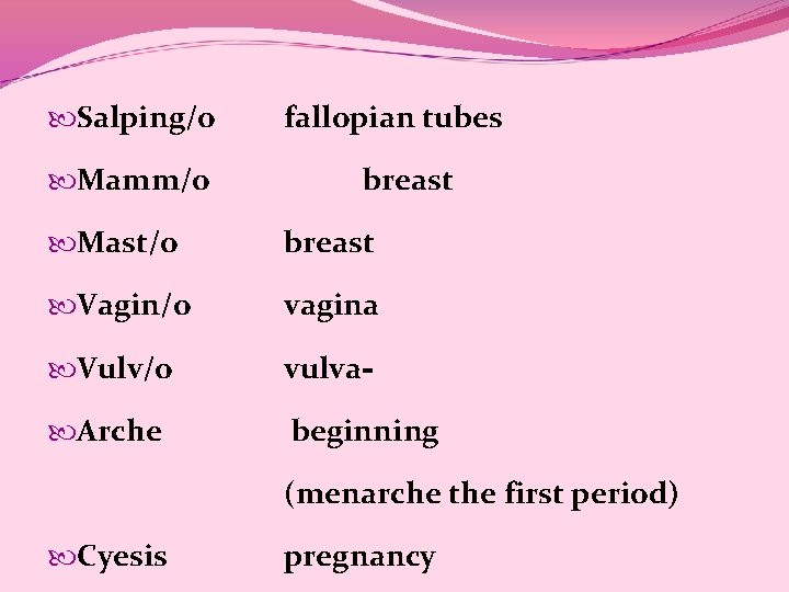  Salping/o Mamm/o fallopian tubes breast Mast/o breast Vagin/o vagina Vulv/o vulva- Arche beginning