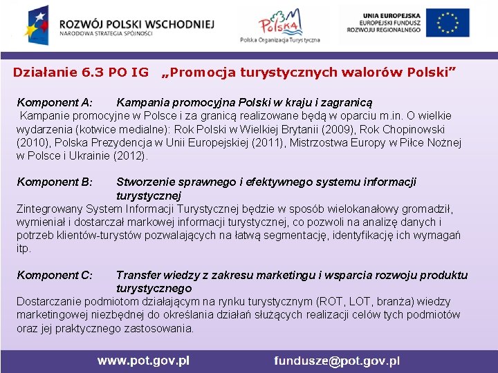Działanie 6. 3 PO IG „Promocja turystycznych walorów Polski” Komponent A: Kampania promocyjna Polski