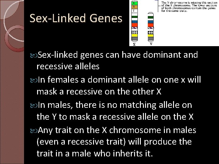 Sex-Linked Genes Sex-linked genes can have dominant and recessive alleles In females a dominant