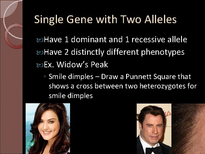 Single Gene with Two Alleles Have 1 dominant and 1 recessive allele Have 2