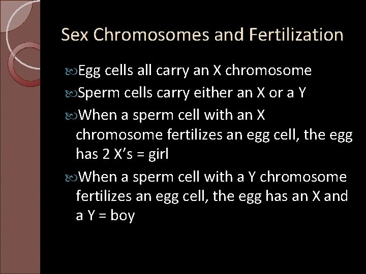 Sex Chromosomes and Fertilization Egg cells all carry an X chromosome Sperm cells carry