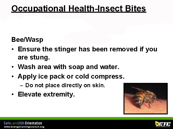 Occupational Health-Insect Bites Bee/Wasp • Ensure the stinger has been removed if you are
