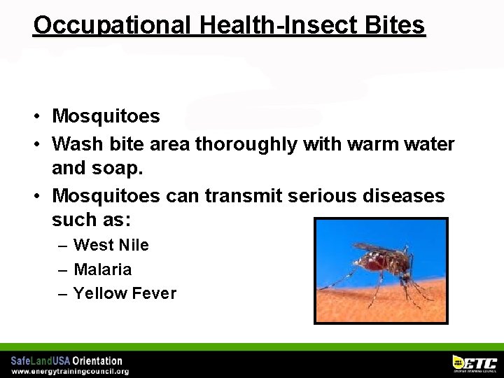 Occupational Health-Insect Bites • Mosquitoes • Wash bite area thoroughly with warm water and