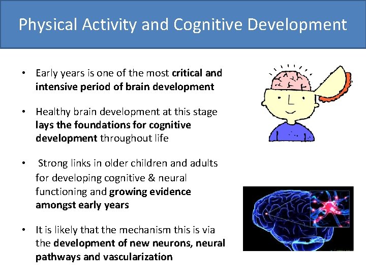 Physical Activity and Cognitive Development • Early years is one of the most critical