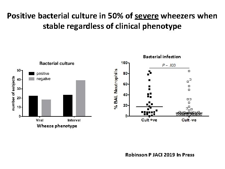 Positive bacterial culture in 50% of severe wheezers when stable regardless of clinical phenotype