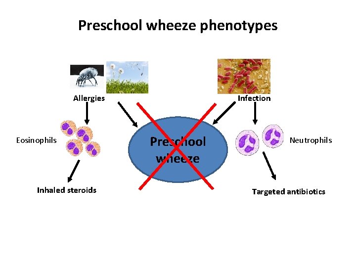 Preschool wheeze phenotypes Allergies Eosinophils Inhaled steroids Infection Preschool wheeze Neutrophils Targeted antibiotics 