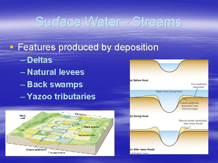 Surface Water - Streams § Features produced by deposition – Deltas – Natural levees