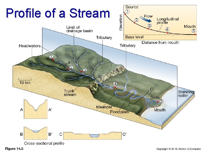 Profile of a Stream 