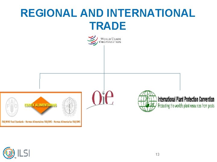 REGIONAL AND INTERNATIONAL TRADE 13 TM 