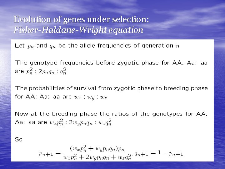 Evolution of genes under selection: Fisher-Haldane-Wright equation 