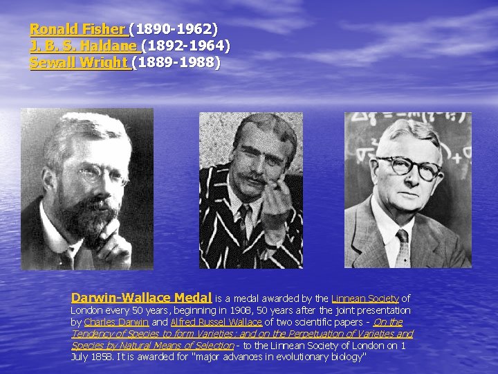 Ronald Fisher (1890 -1962) J. B. S. Haldane (1892 -1964) Sewall Wright (1889 -1988)