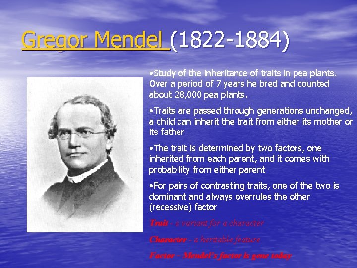 Gregor Mendel (1822 -1884) • Study of the inheritance of traits in pea plants.