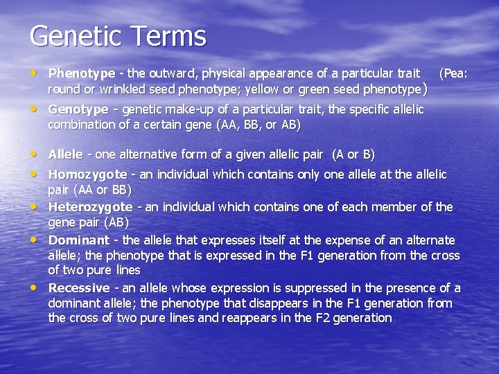 Genetic Terms • Phenotype - the outward, physical appearance of a particular trait round