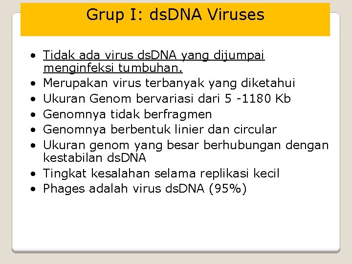 Grup I: ds. DNA Viruses • Tidak ada virus ds. DNA yang dijumpai menginfeksi