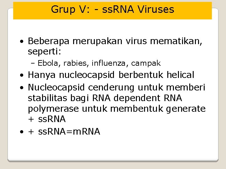 Grup V: - ss. RNA Viruses • Beberapa merupakan virus mematikan, seperti: – Ebola,