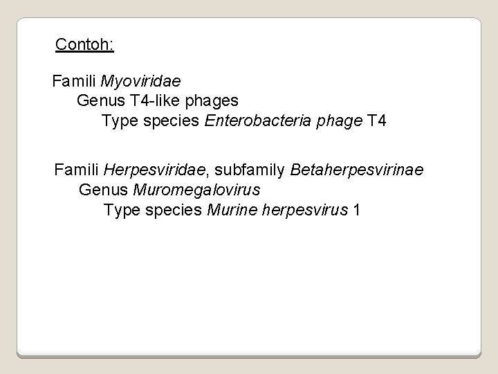 Contoh: Famili Myoviridae Genus T 4 -like phages Type species Enterobacteria phage T 4