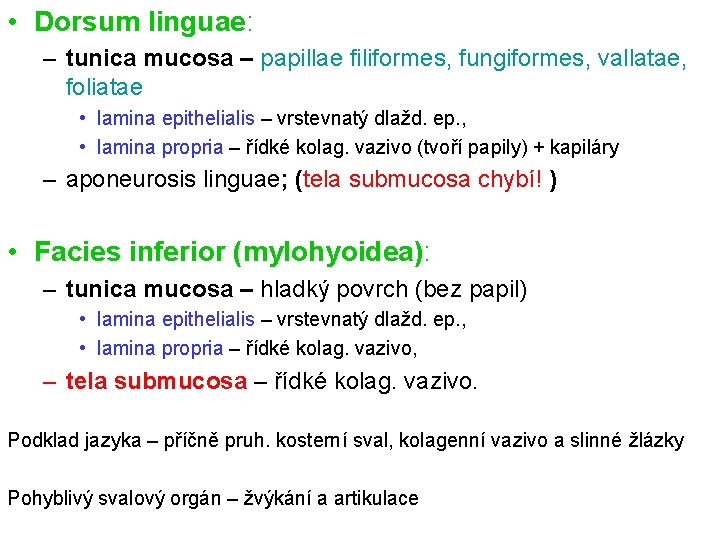  • Dorsum linguae: – tunica mucosa – papillae filiformes, fungiformes, vallatae, foliatae •