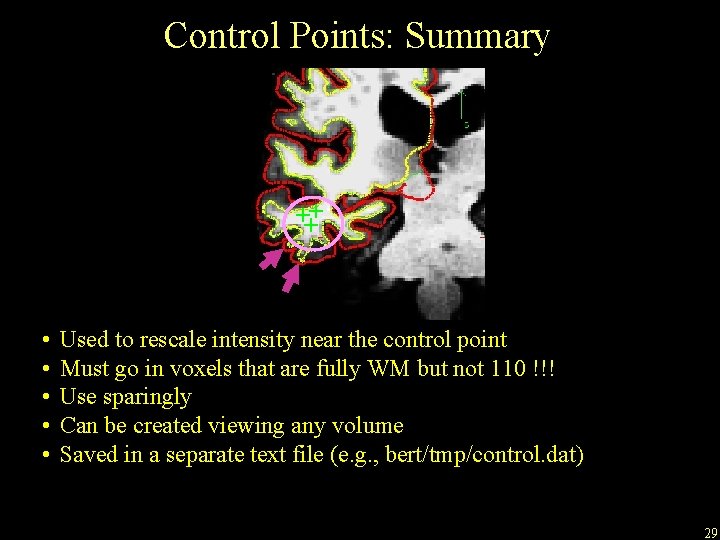Control Points: Summary +++ • • • Used to rescale intensity near the control