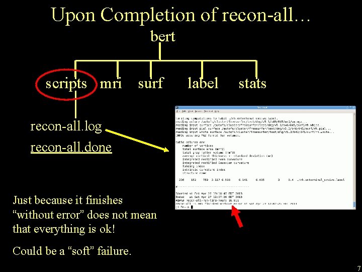 Upon Completion of recon-all… bert scripts mri surf label stats recon-all. log recon-all. done