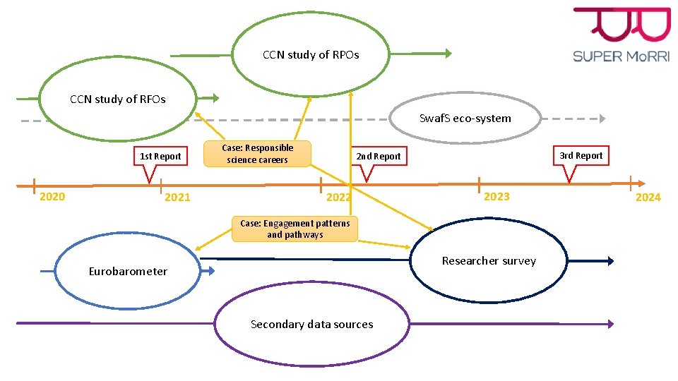 CCN study of RPOs CCN study of RFOs Swaf. S eco-system 1 st Report CCN study of RPOs CCN study of RFOs Swaf. S eco-system 1 st Report